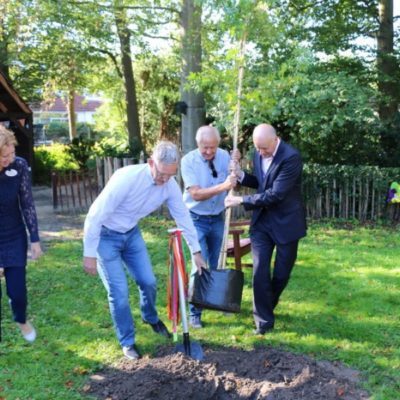 jisk plant boom in de belevingstuin